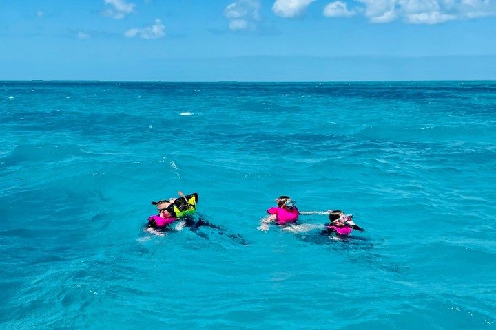 a group of people swimming in a body of water