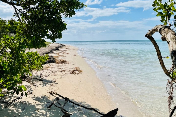 a person standing next to a body of water