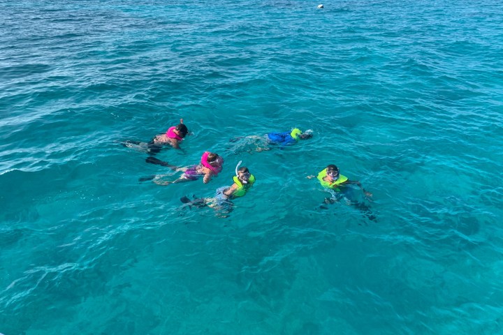 a group of people swimming in a body of water