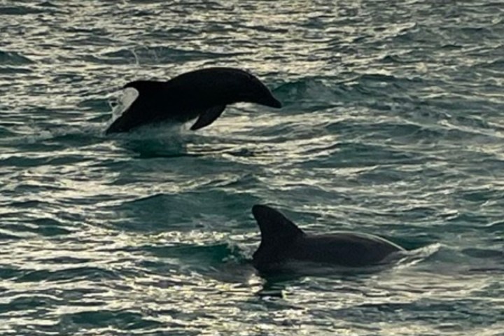 a large body of water