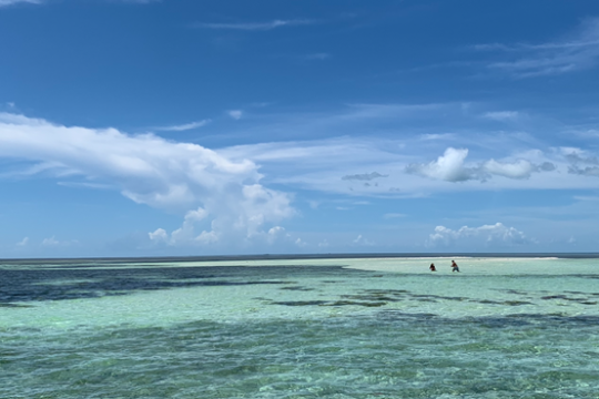a body of water next to the ocean